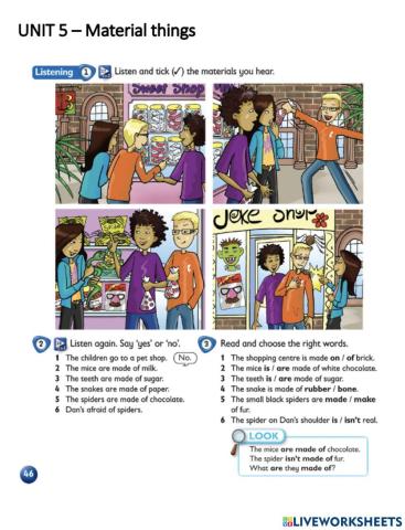 Kid's Box 5 - Material things