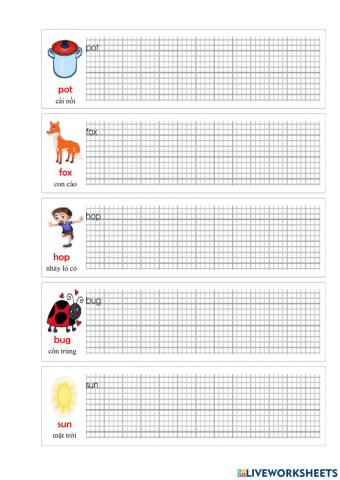 Words - Unit 1 (cont)