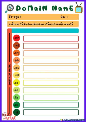 Domain Name