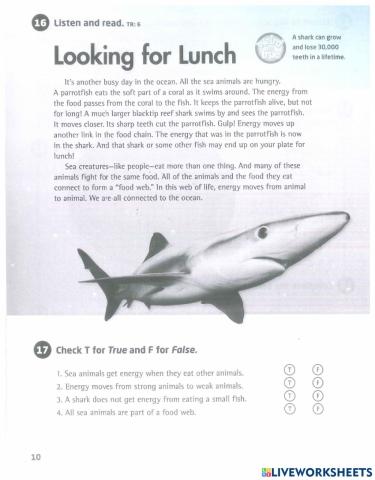 Grade5-Workbook-Week4-ReadingWB