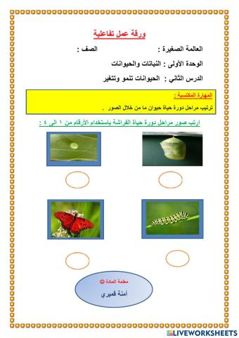 ورفة عمل  المخلوقات الحية تنمو وتتغير