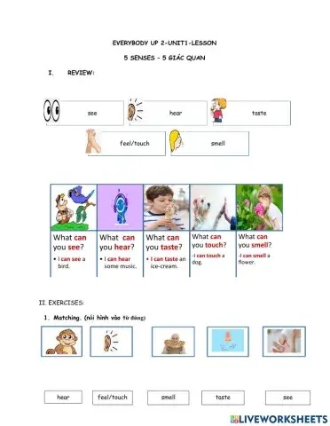 Everybody Up 2- Unit 1- Senses