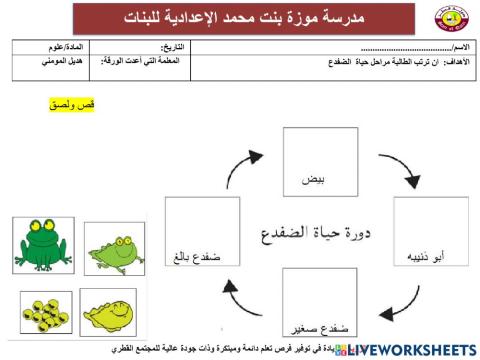 دورة حياة الضفدع