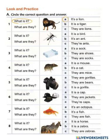 4h6 Grammar What + be