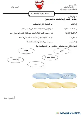 السلسلة والشبكة الغذائية