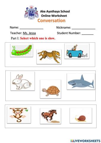 Fast and slow - Worksheet