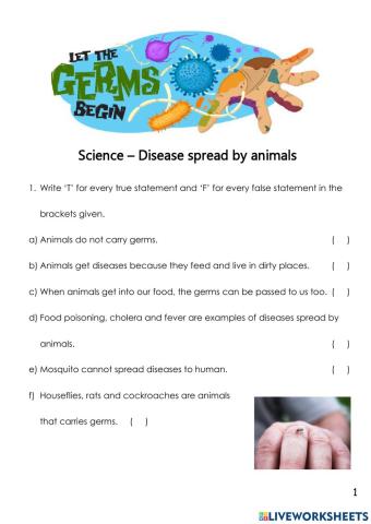 Disease Spread by animals