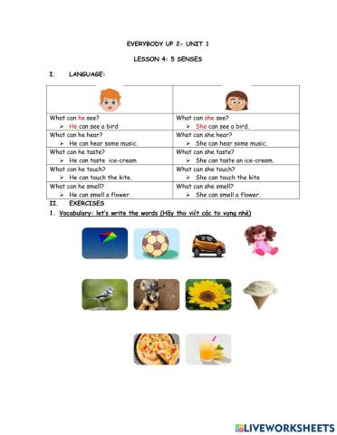 Everybody Up 2- Unit 1-  5 Senses