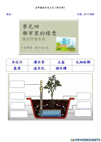 五年级设计与工艺