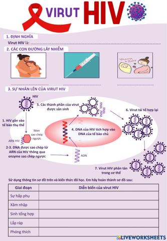 Chu trình nhân lên của virut HIV
