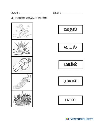 மூவெழுத்து சொற்கள்