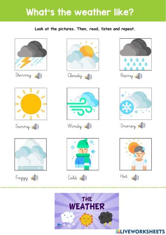 The weather