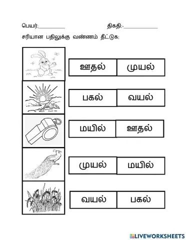 மூவெழுத்து சொற்கள்
