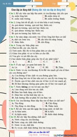 Sự hấp thu nước và muối khoáng ở rễ