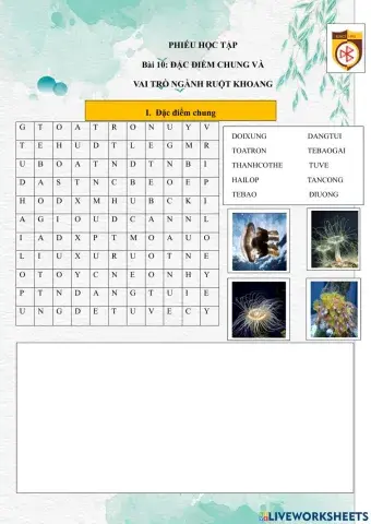 PHT bài 10: Đặc điểm chung và vai trò của ngành ruột khoang