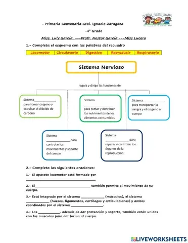 Sistemas nervios y Locomotor