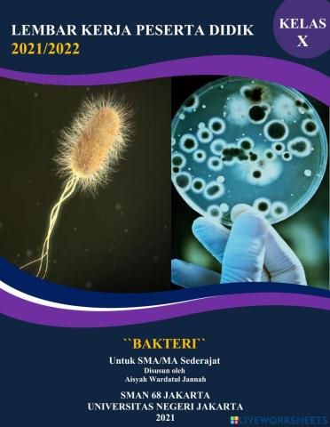 LKPD Bakteri X IPA 3