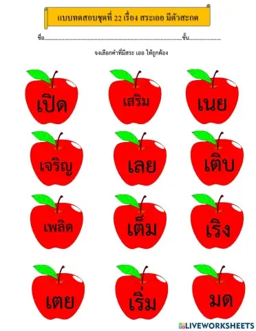 แบบทดสอบชุดที่ 22 เรื่อง สระเออ มีตัวสะกด