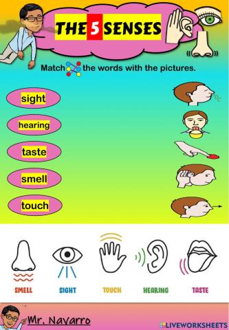 The 5 Senses (Match the words with the pictures)