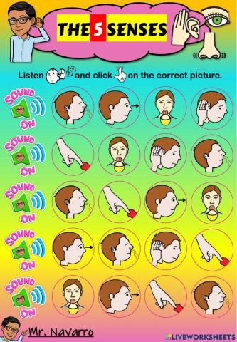 The 5 Senses (Listen and click)