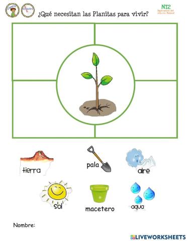 El crecimiento de las plantas