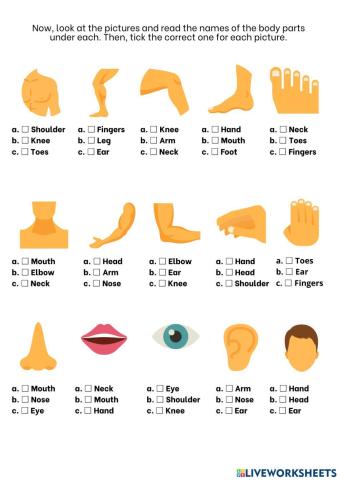 Parts of the Body