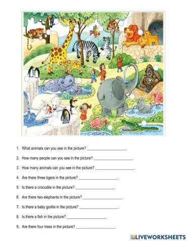 Answer the questions