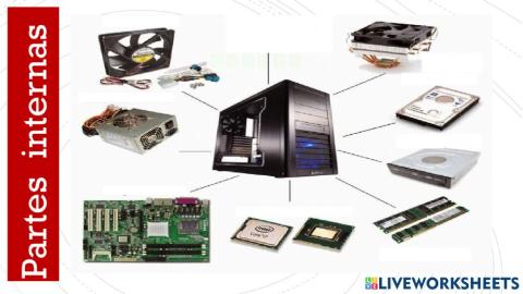 Partes internas del cpu