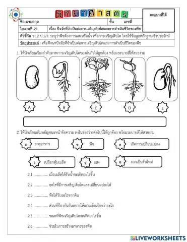 ปัจจัยที่จำเป็นต่อการเจริญเติบโตของพืช