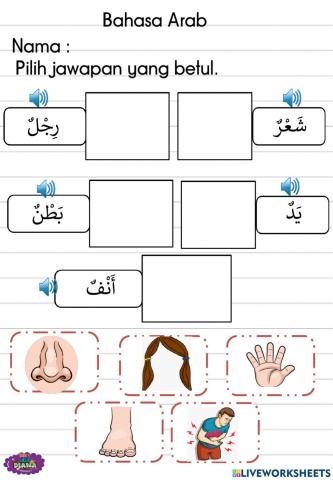Bahasa Arab - Ulangkaji