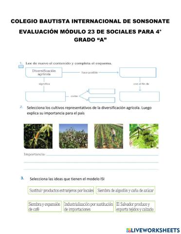 Evaluación Módulo 23 Sociales