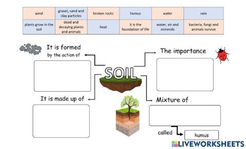 The soil mind map
