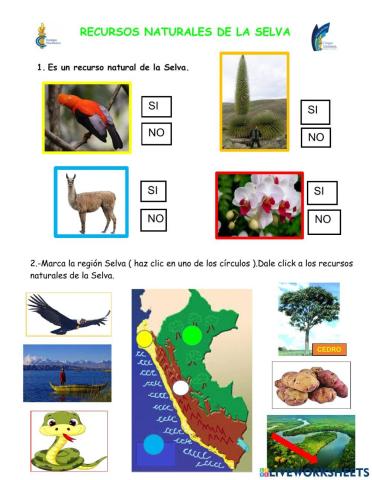 La selva recursos naturales