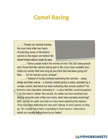Camel Racing Act.1