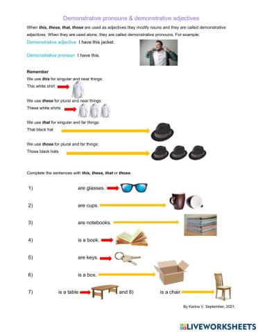 Demonstrative adjectives