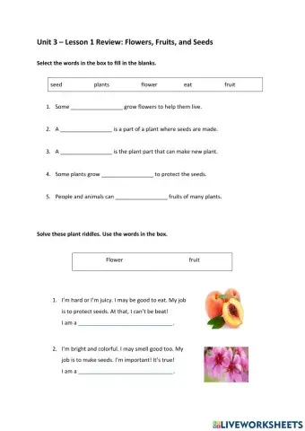 Flowers, fruits and seeds