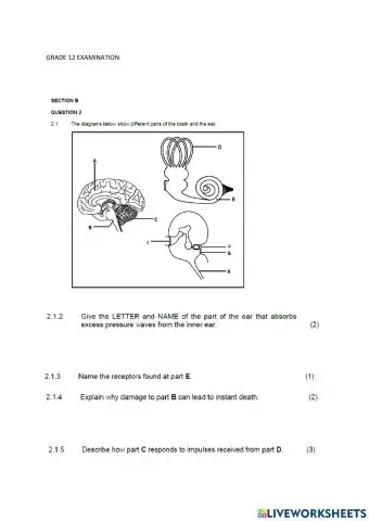 LIFE SCIENCE paper Model b