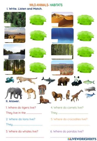 Wild animals - Habitats