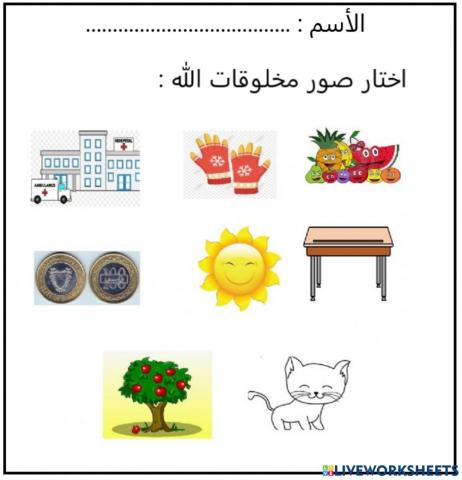 توحيد الدرس الثاني