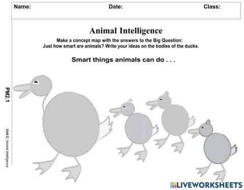 Animal Intelligence Concept Map