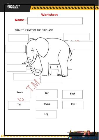 Drag and drop the correct answer