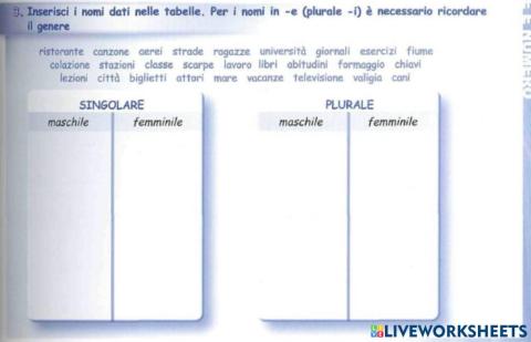 Il nome: il genere ed il numero