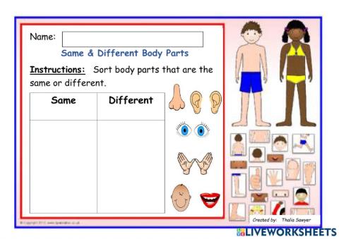 Same & Different Body Parts