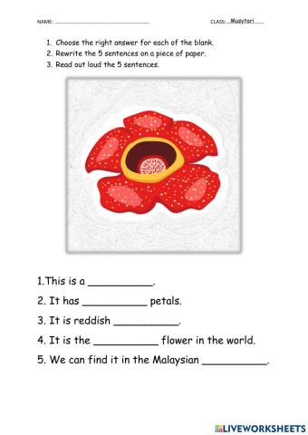 Rafflesia - English KSSRPK Year 3