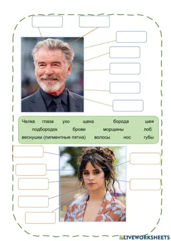 РКИ-Говорение1-Тема1-Лицо