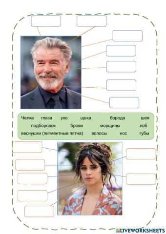 РКИ-Говорение1-Тема1-Лицо