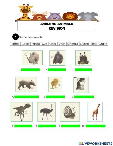 Year 4 Module 8: Name the Animals