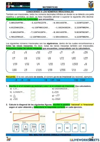 M09W11 Conociendo a los números irracionales