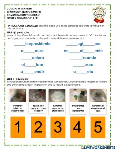 Evaluación 5 - Comunicación y lenguaje - 1