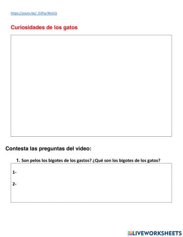 Curiosidades de los Gatos